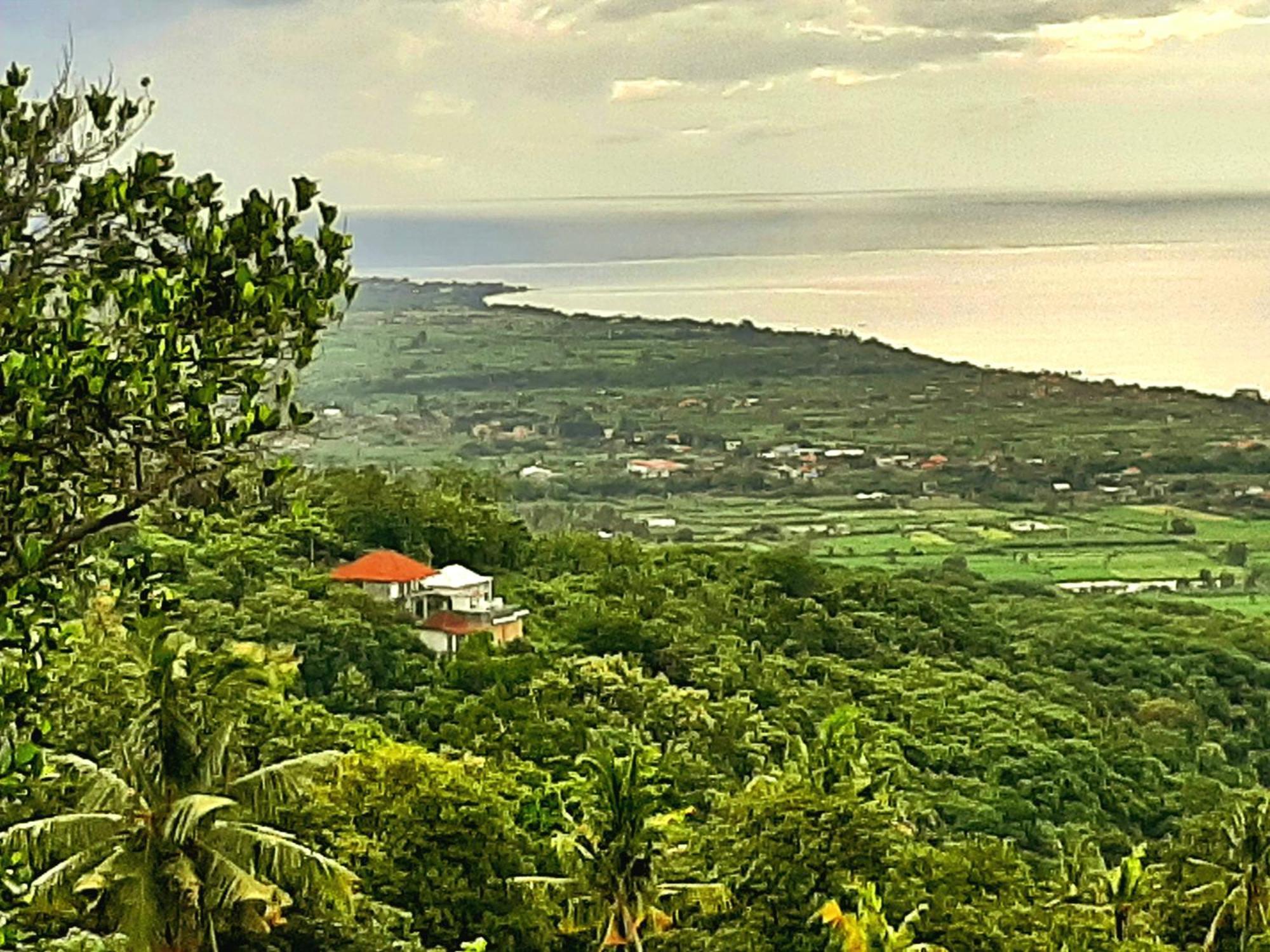 Liri Villa - Ocean, Hills, Valley View Lovina  Luaran gambar