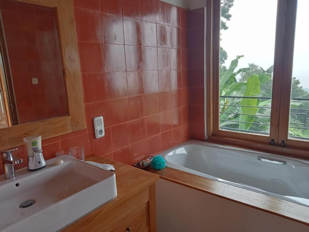 Liri Villa - Ocean, Hills, Valley View Lovina  Luaran gambar