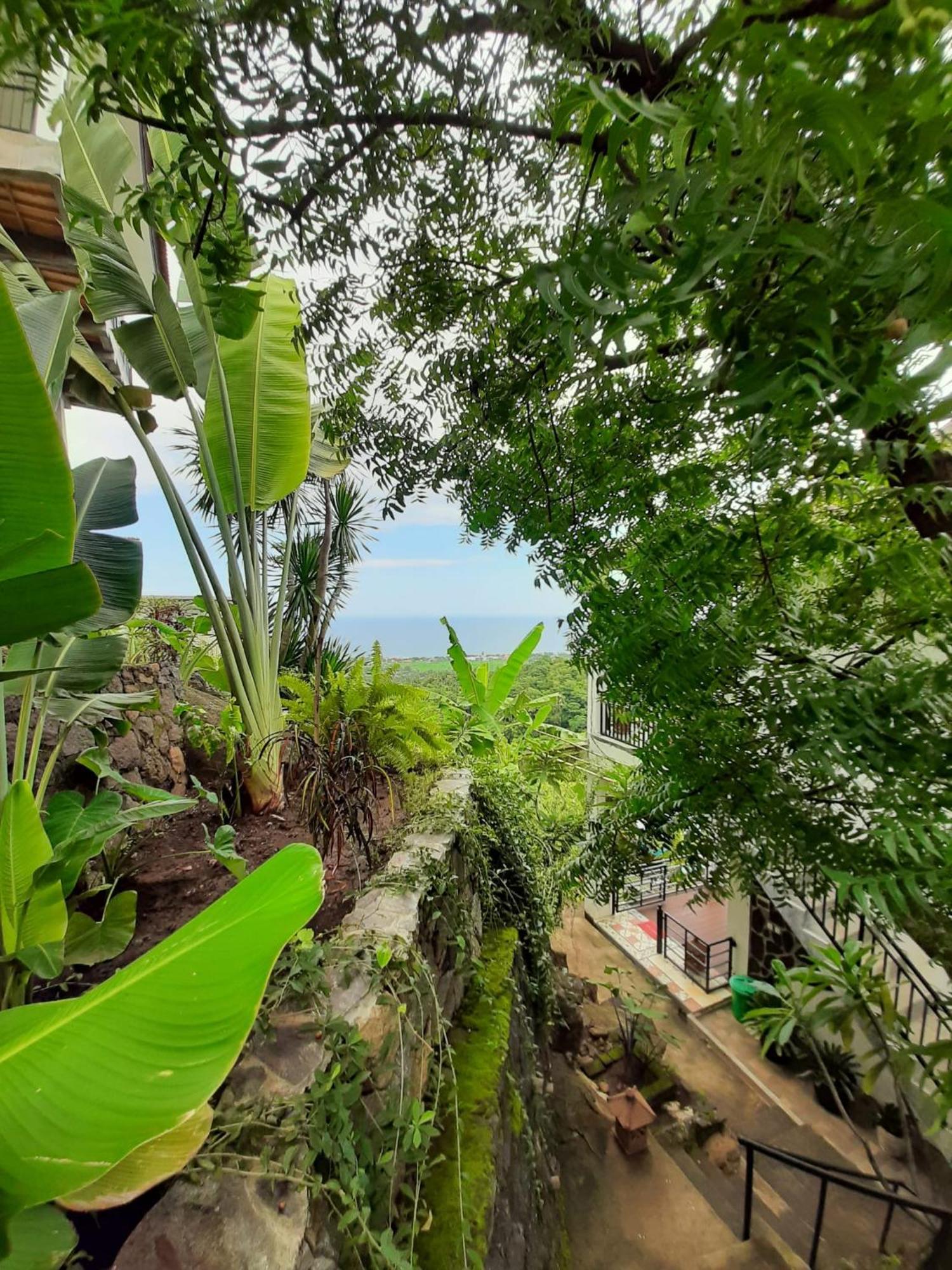 Liri Villa - Ocean, Hills, Valley View Lovina  Luaran gambar